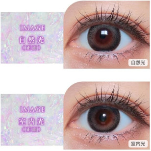 COLOR MAJORITY 1Day Gris Pearl カラーマジョリティー グリパール